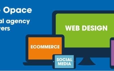 Opace Technology Solutions: Business Profile