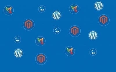 Factors to Consider When Choosing an Open Source Website