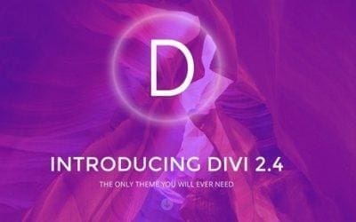 Infinite Possibilities & Revolutionary Web Design with the Divi 2.4 Theme for WordPress