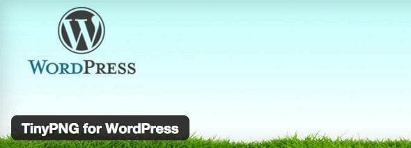 Tinypng - essential free wordpress plugins & themes for your website Tinypng