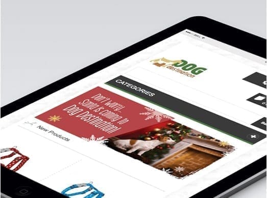 Dog destination portfolio 1