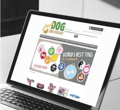 Dog destination portfolio 3