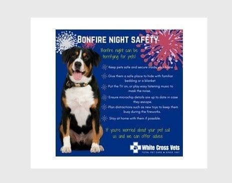 Opace projectdetail whitecrossvets v0. 90 v0. 3 1 - white cross vets White cross vets